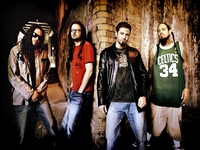 Korn