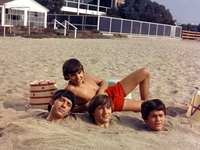 Monkees