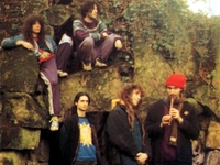 Ozric Tentacles