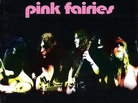 Pink Fairies