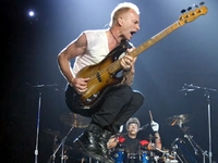 Sting